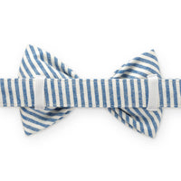 Blue Stripe Summer Dog Bow Tie