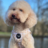 Step-In Harness in Houndstooth Beige