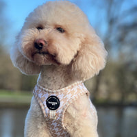 Step-In Harness in Houndstooth Beige