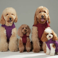 Reversible Dog Jacket -  Red/Camel