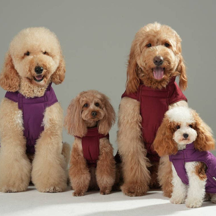 Reversible Dog Jacket -  Red/Camel