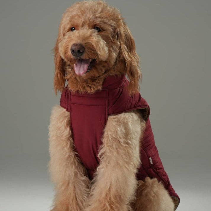 Reversible Dog Jacket -  Red/Camel