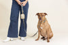 Gold Vegan Leather Poop Bag Holder & Treat Pouch