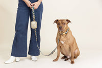 Gold Vegan Leather Poop Bag Holder & Treat Pouch