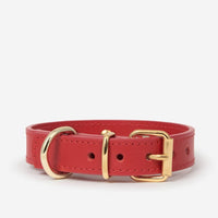 Heart Stud Collar in Red