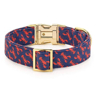 Crayfish Party Dog Collar