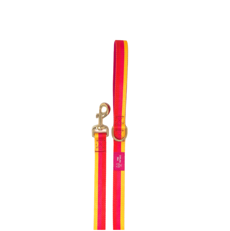 Striped Dog Leash