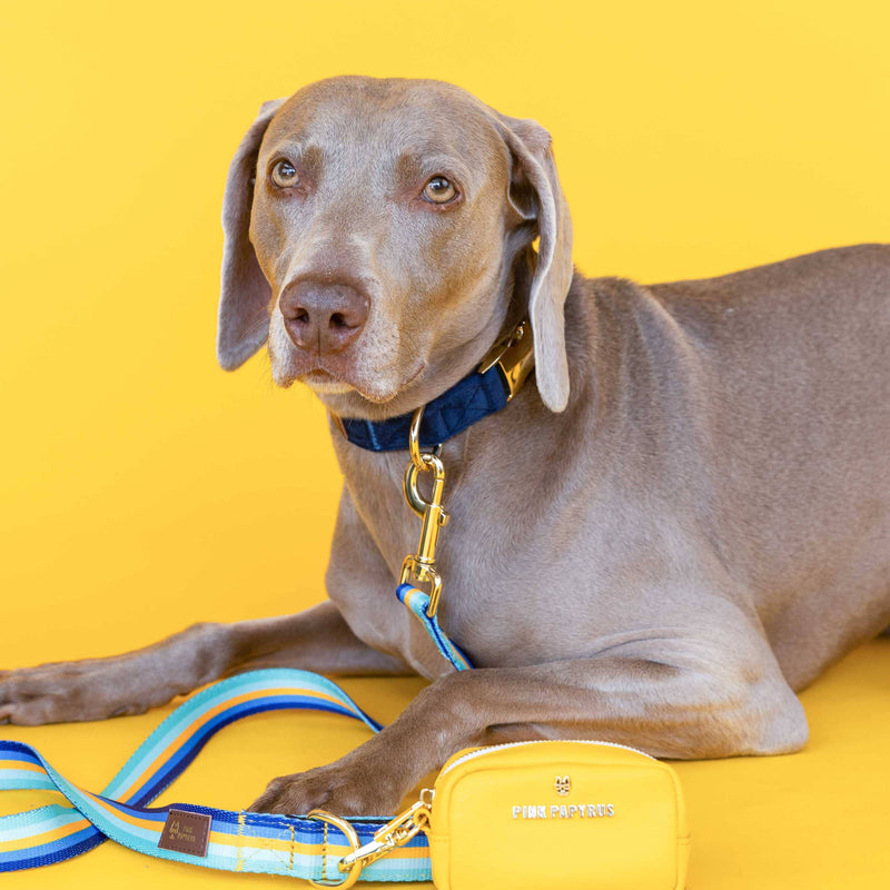 Yellow Poop Bag Holder & Treat Pouch