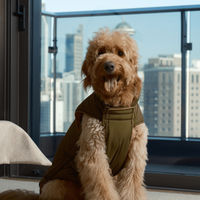 Reversible Dog Jacket - Green/Camel