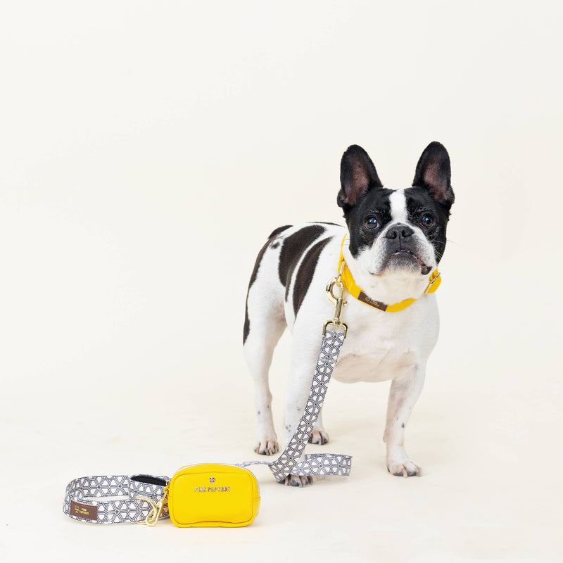 Yellow Poop Bag Holder & Treat Pouch