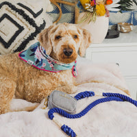 Grey Poop Bag Holder & Treat Pouch