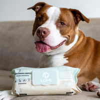 Bamboo Grooming Wipes